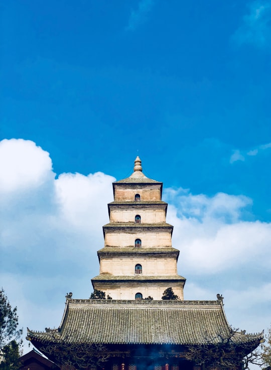 beige concrete structure in Giant Wild Goose Pagoda China