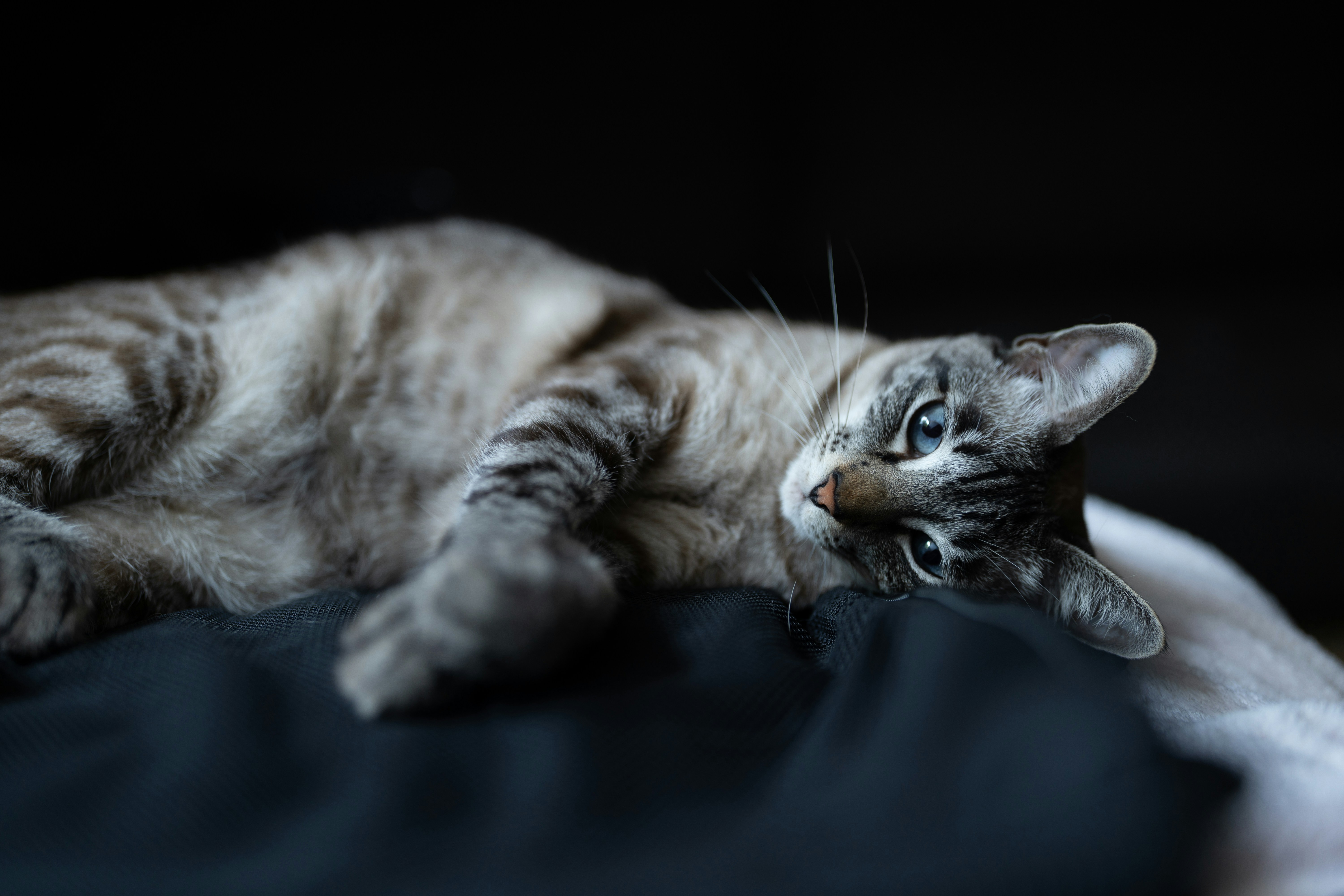 Photo by ballaschottner