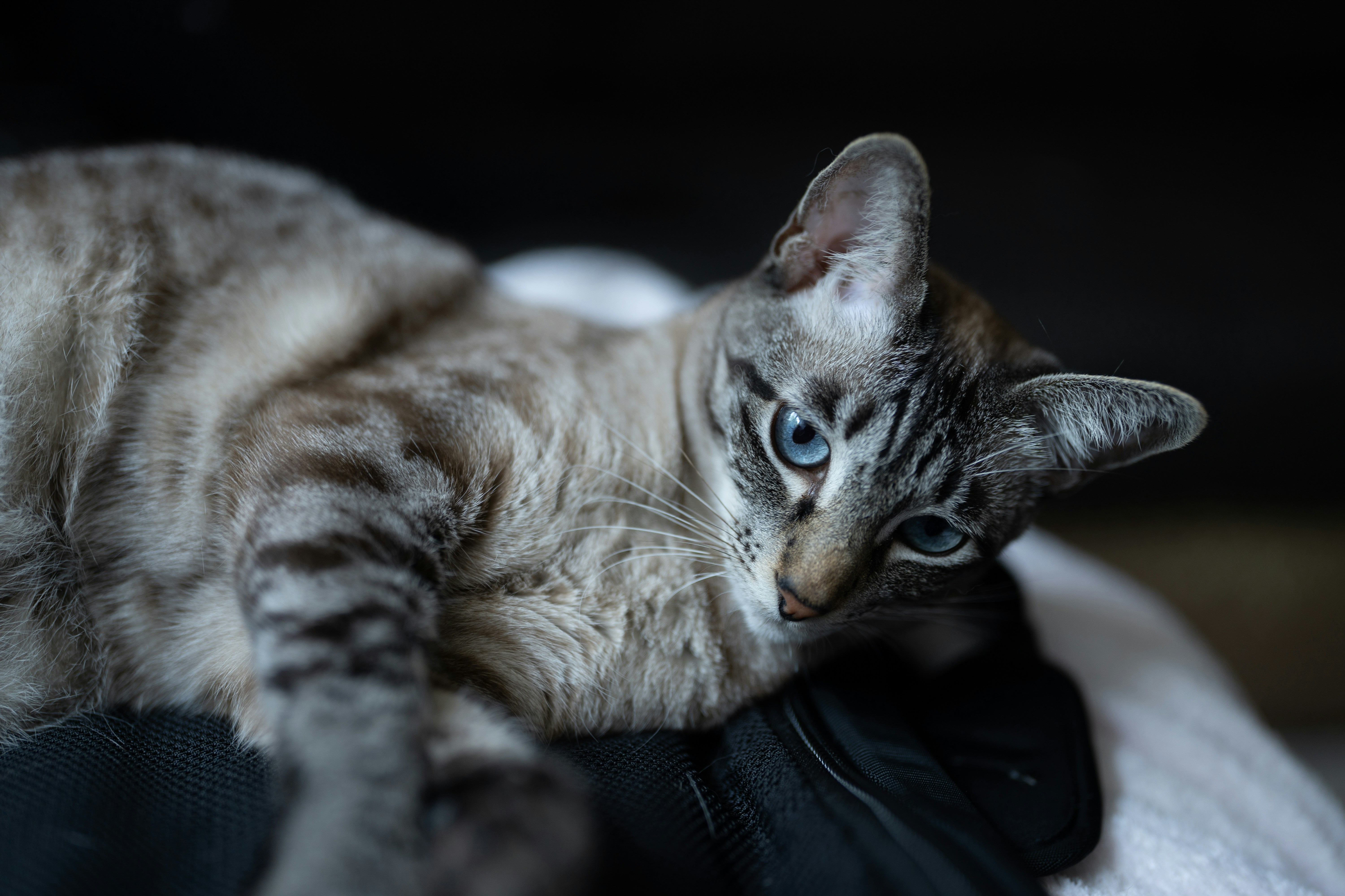 Photo by ballaschottner