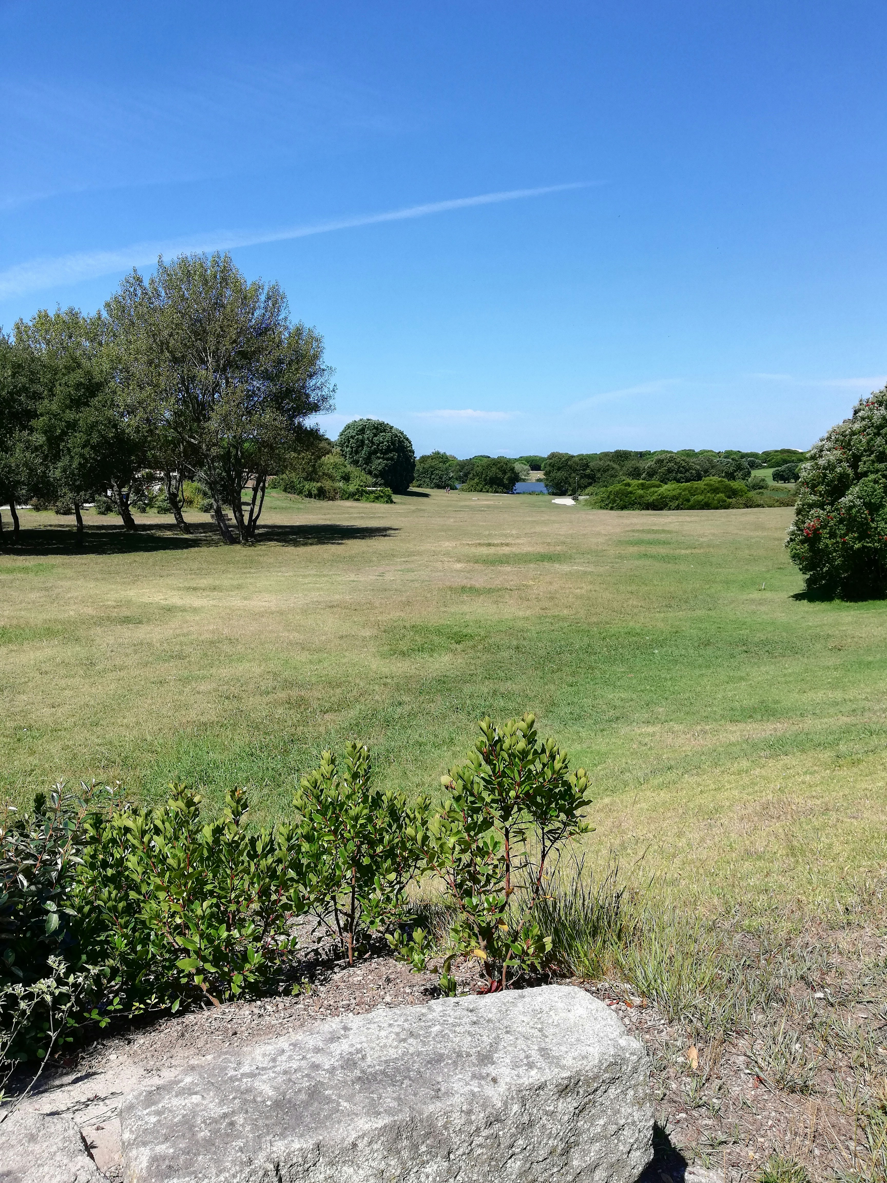 Photo by dianafmorais