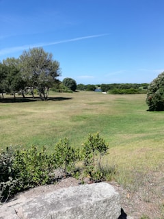A scenic view of an open plot of land with trees.