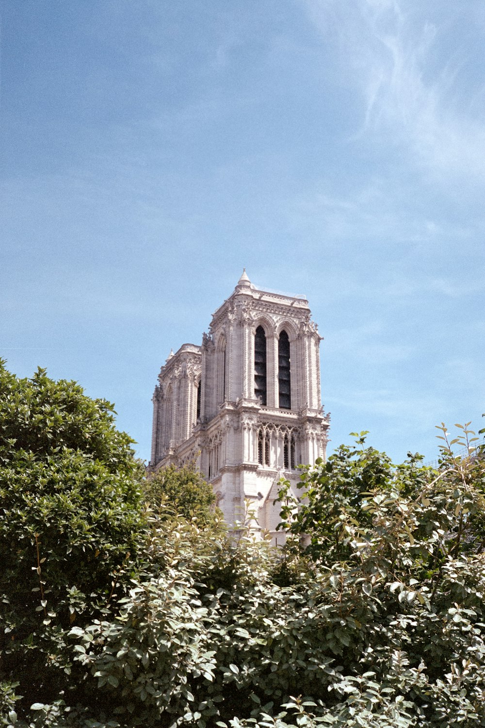 church behind trees under clear sky