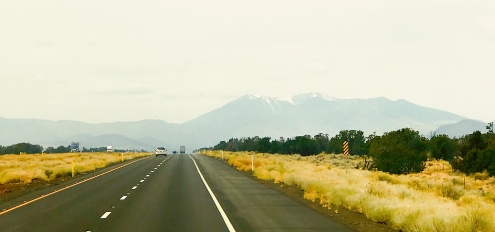 road, grass, and trees during day