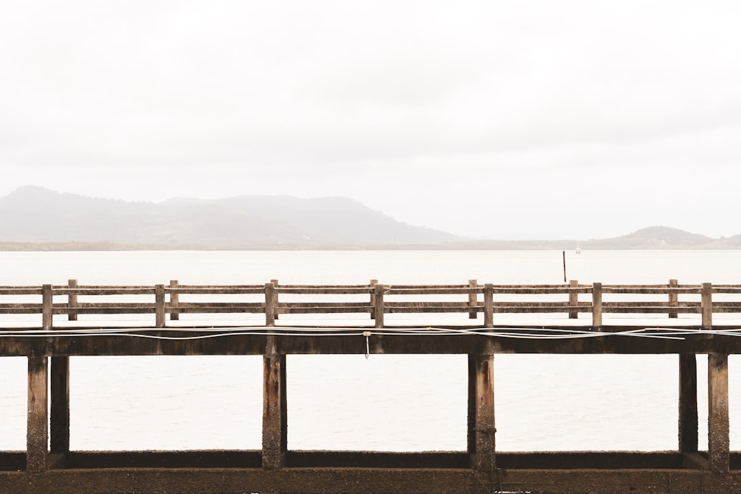 brown wooden dockside