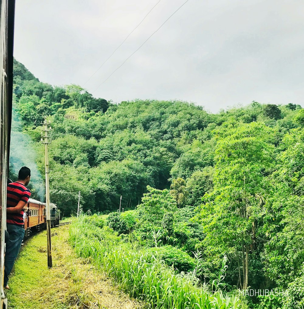 man standing in train near trees at daytime