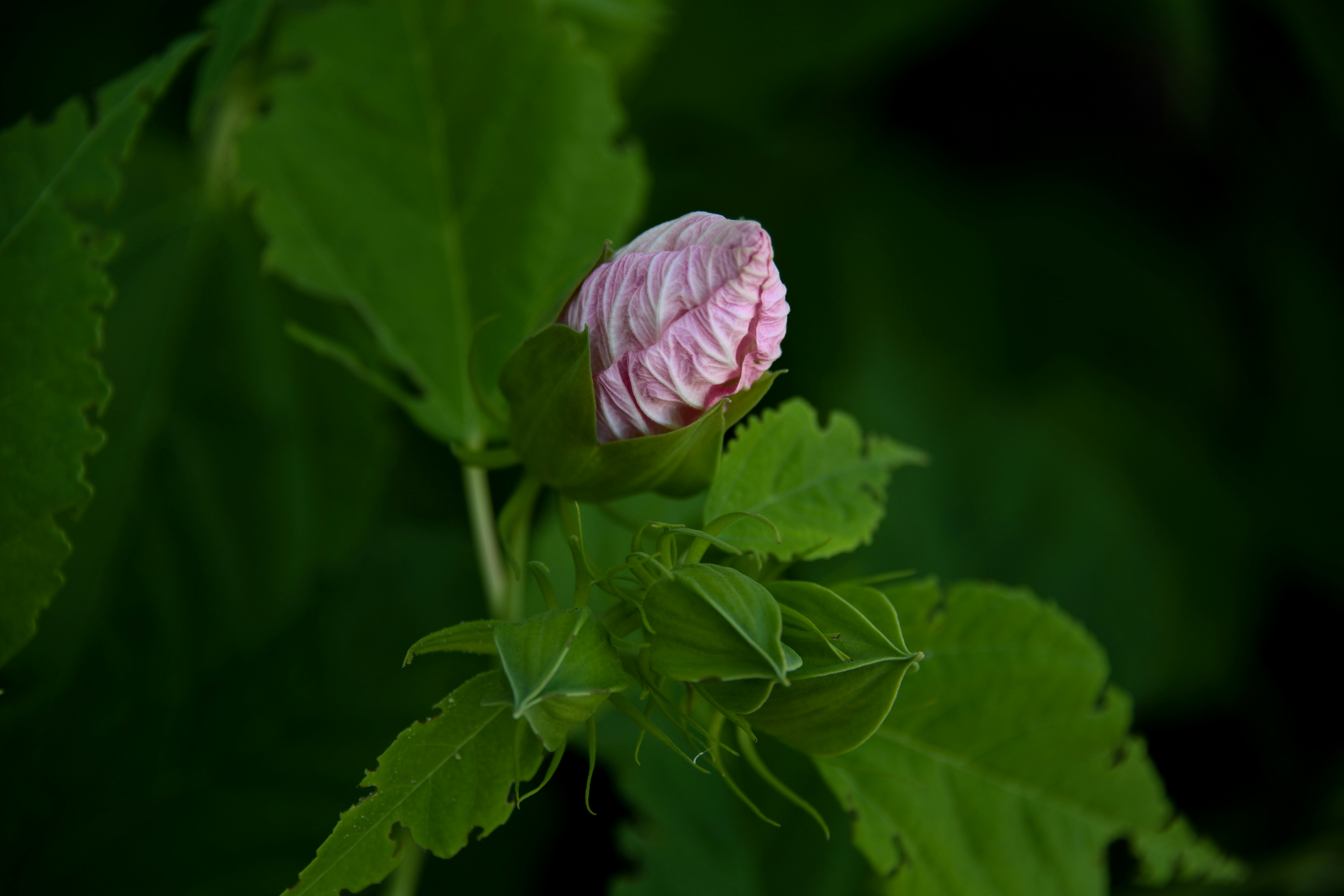 Photo by eliza28diamonds