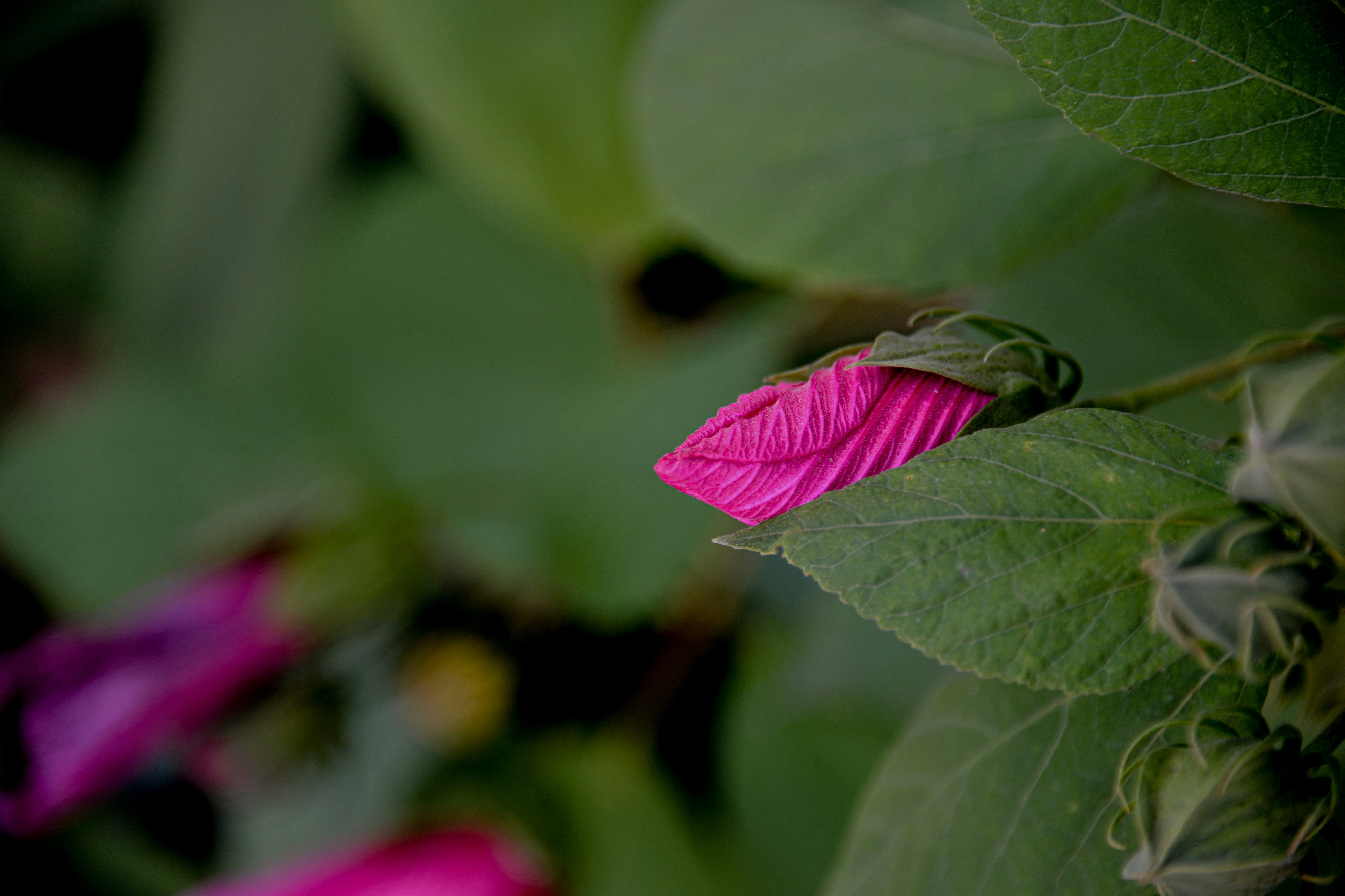 Photo by eliza28diamonds