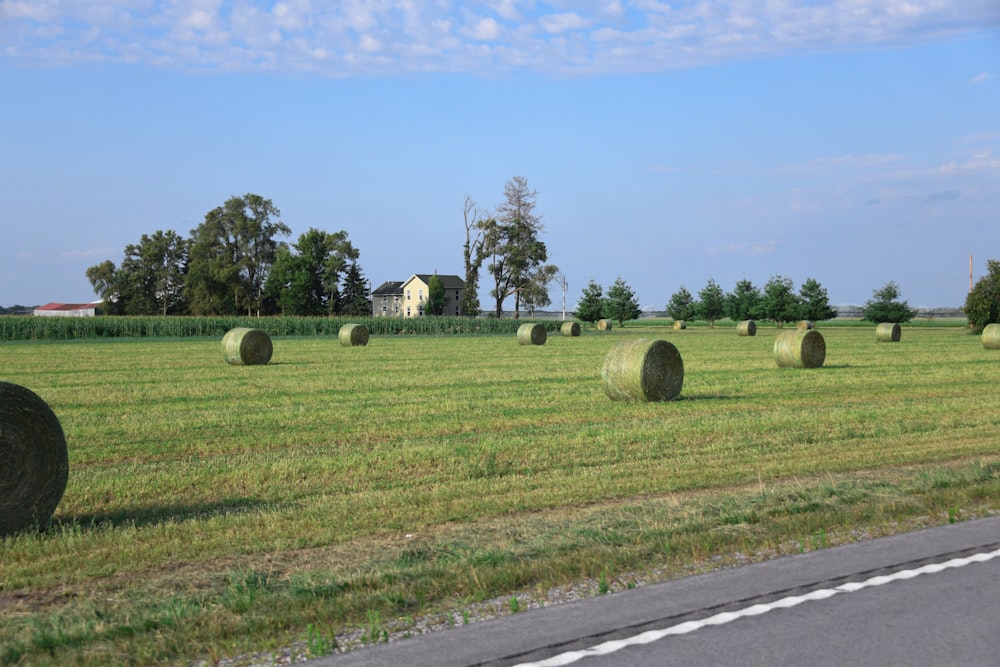 green grass field during daytime