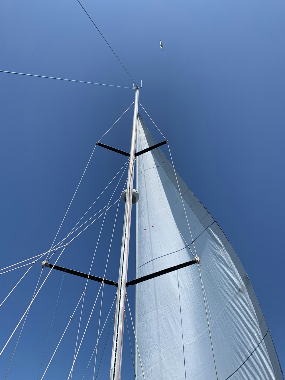 low-angle photography of metal frame under blue sky