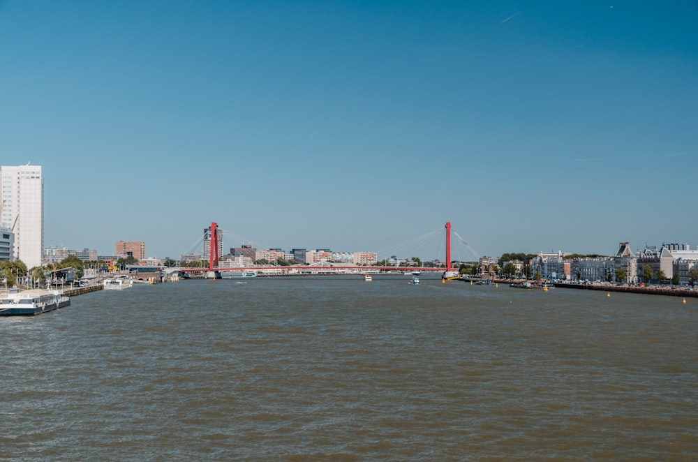 red bridge under clear blue sky