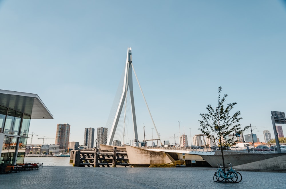 bridge under clear sky