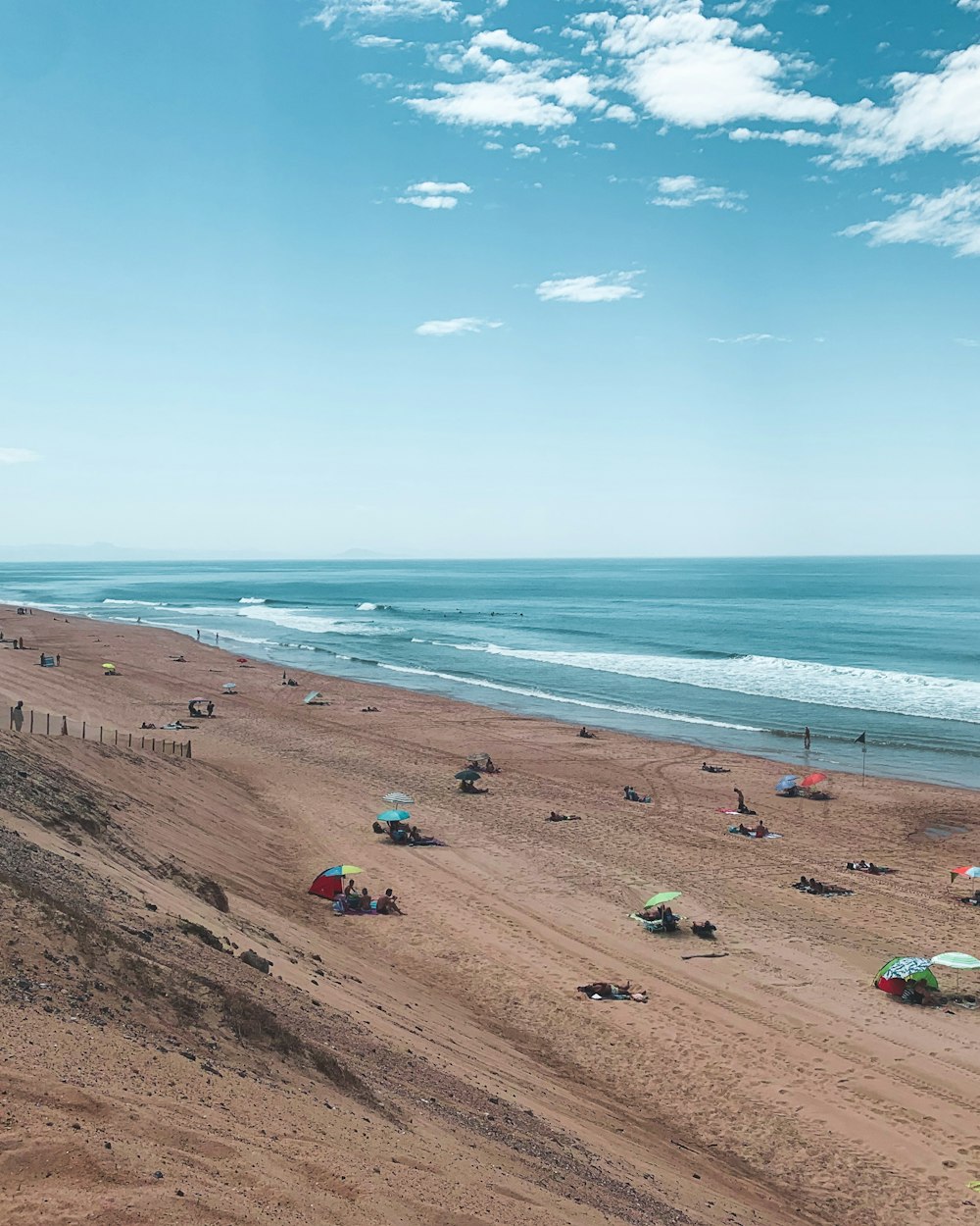 people in sea shore under blue sky