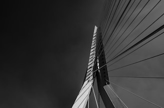 a black and white photo of the top of a bridge