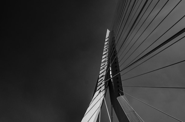 a black and white photo of the top of a bridge
