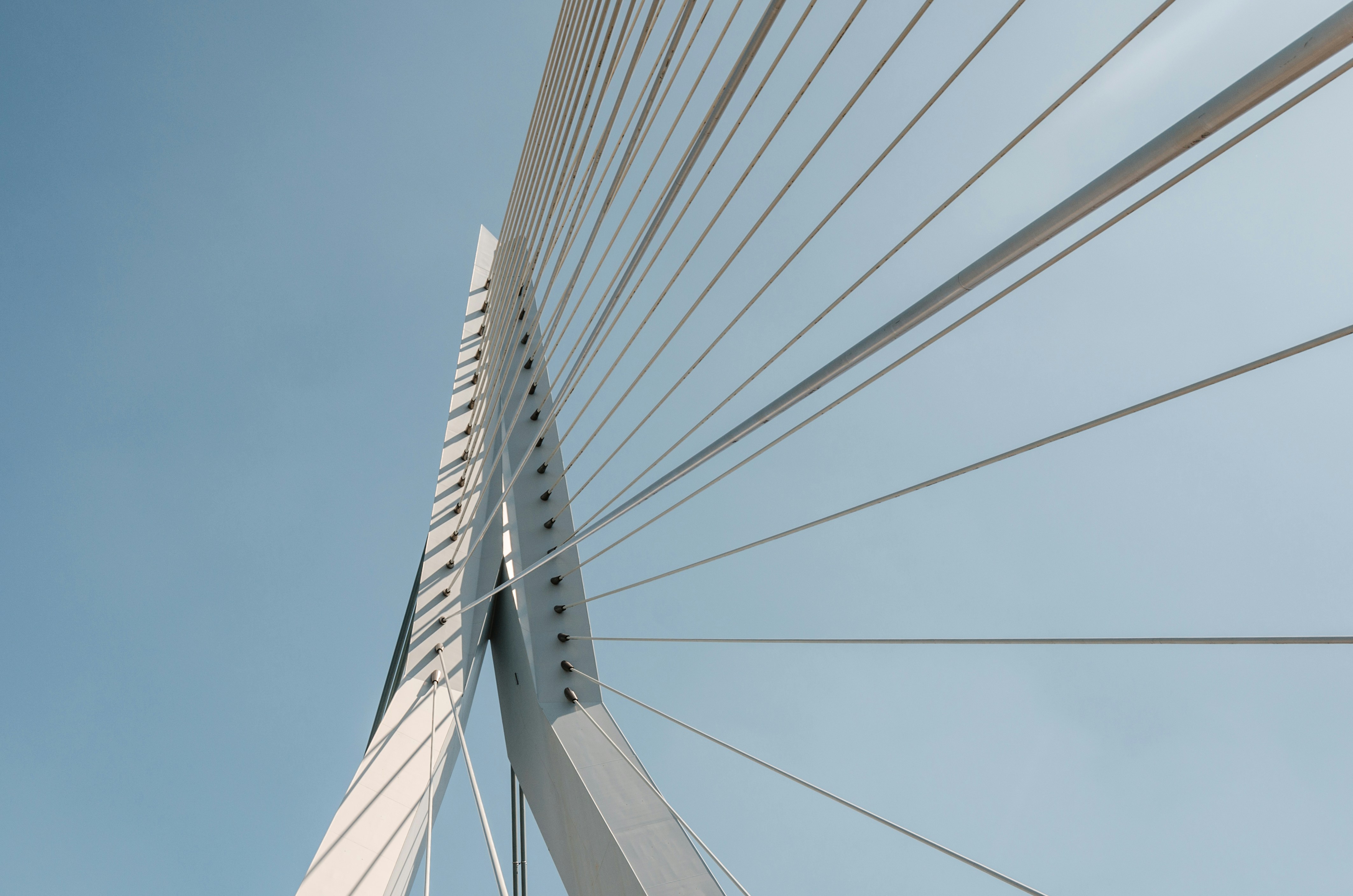 Photo by mike_van_den_bos