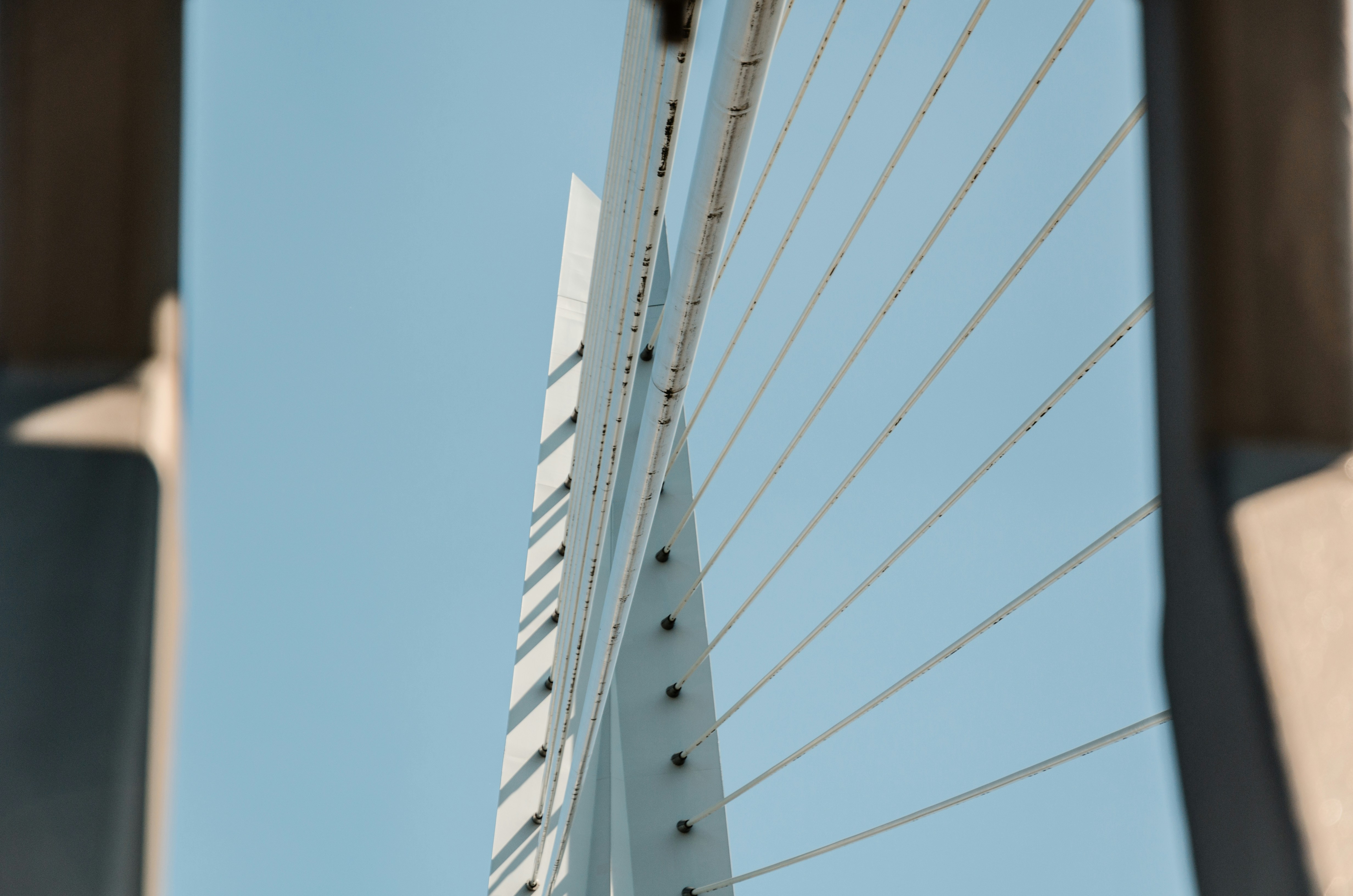 Photo by mike_van_den_bos