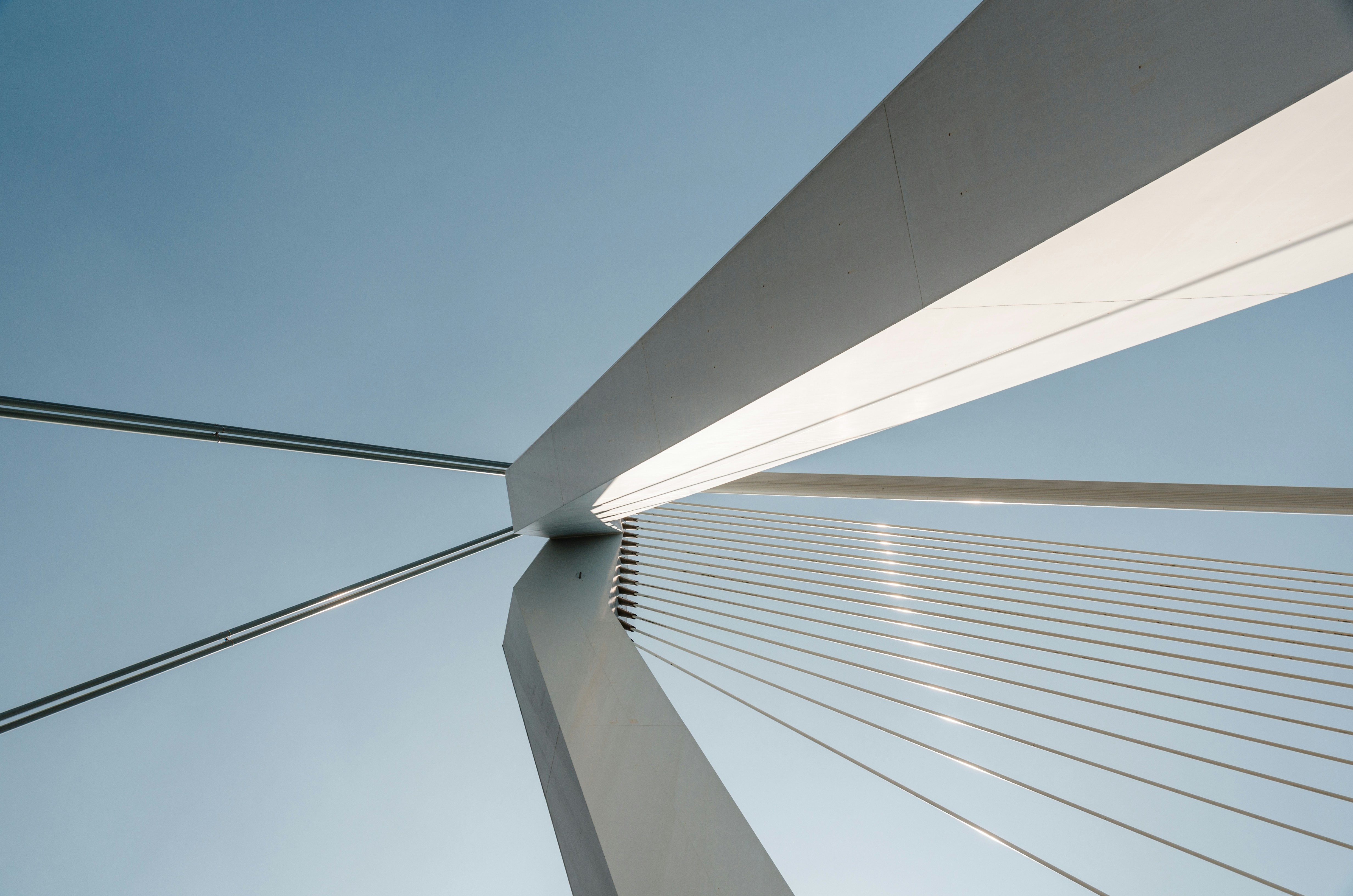 Photo by mike_van_den_bos