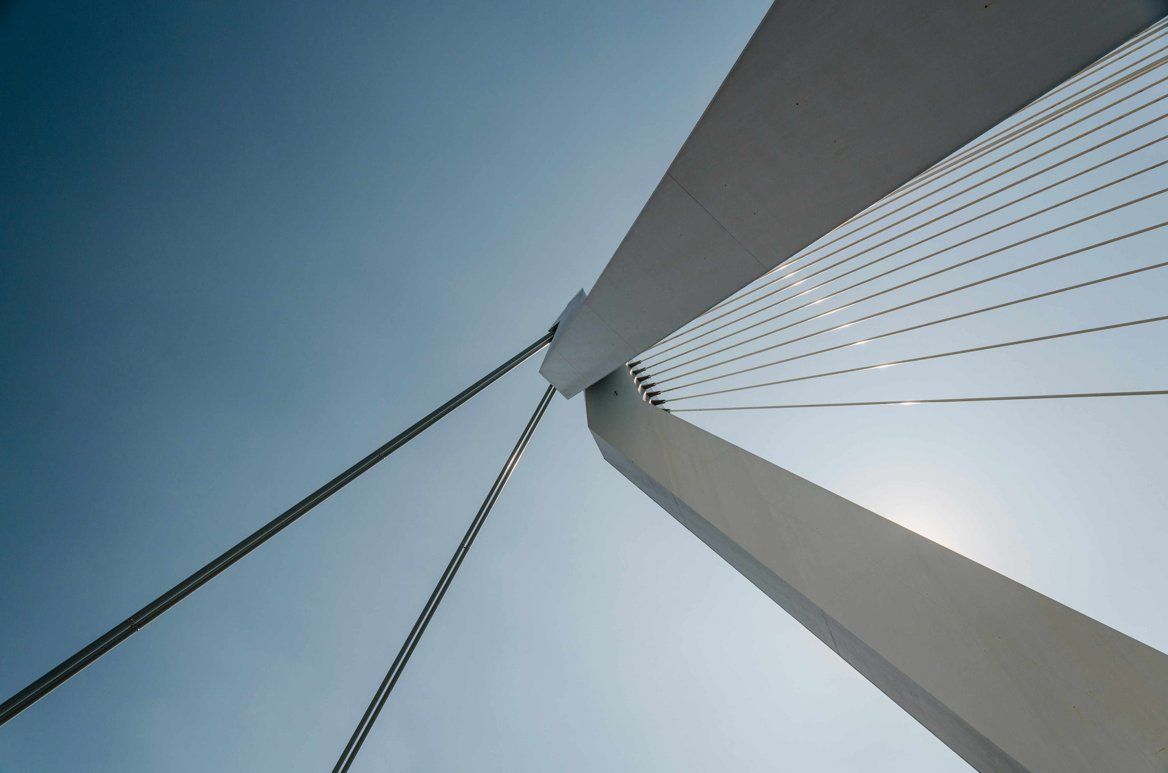 Photo by mike_van_den_bos