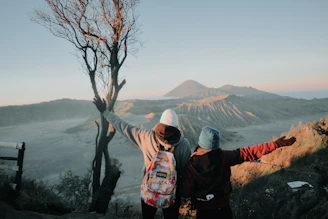 two person looking at mountains