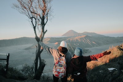 two person looking at mountains