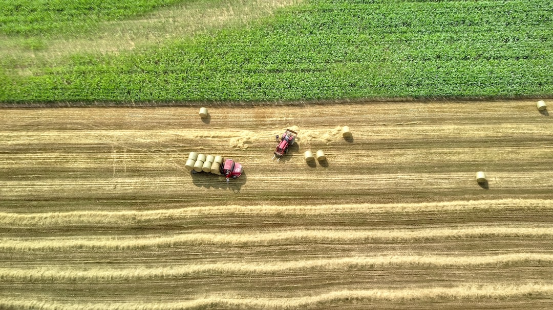 aerial photography of whey field