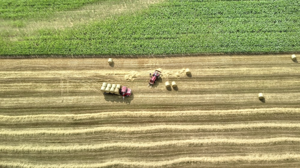 aerial photography of whey field