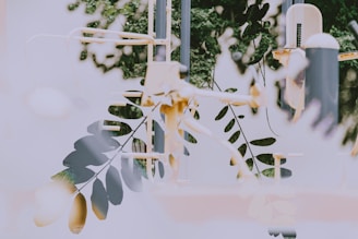 A blend of natural elements with industrial structures creates a surreal, urban jungle-like scene. The overlapping composition includes branches and leaves in front of a gym playground with equipment visible, suggesting an interplay between nature and modernity.
