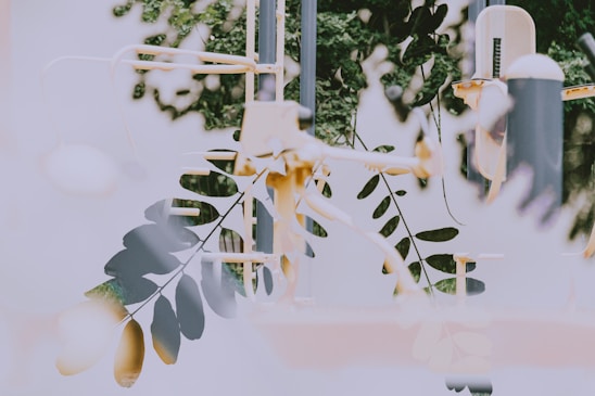 A blend of natural elements with industrial structures creates a surreal, urban jungle-like scene. The overlapping composition includes branches and leaves in front of a gym playground with equipment visible, suggesting an interplay between nature and modernity.
