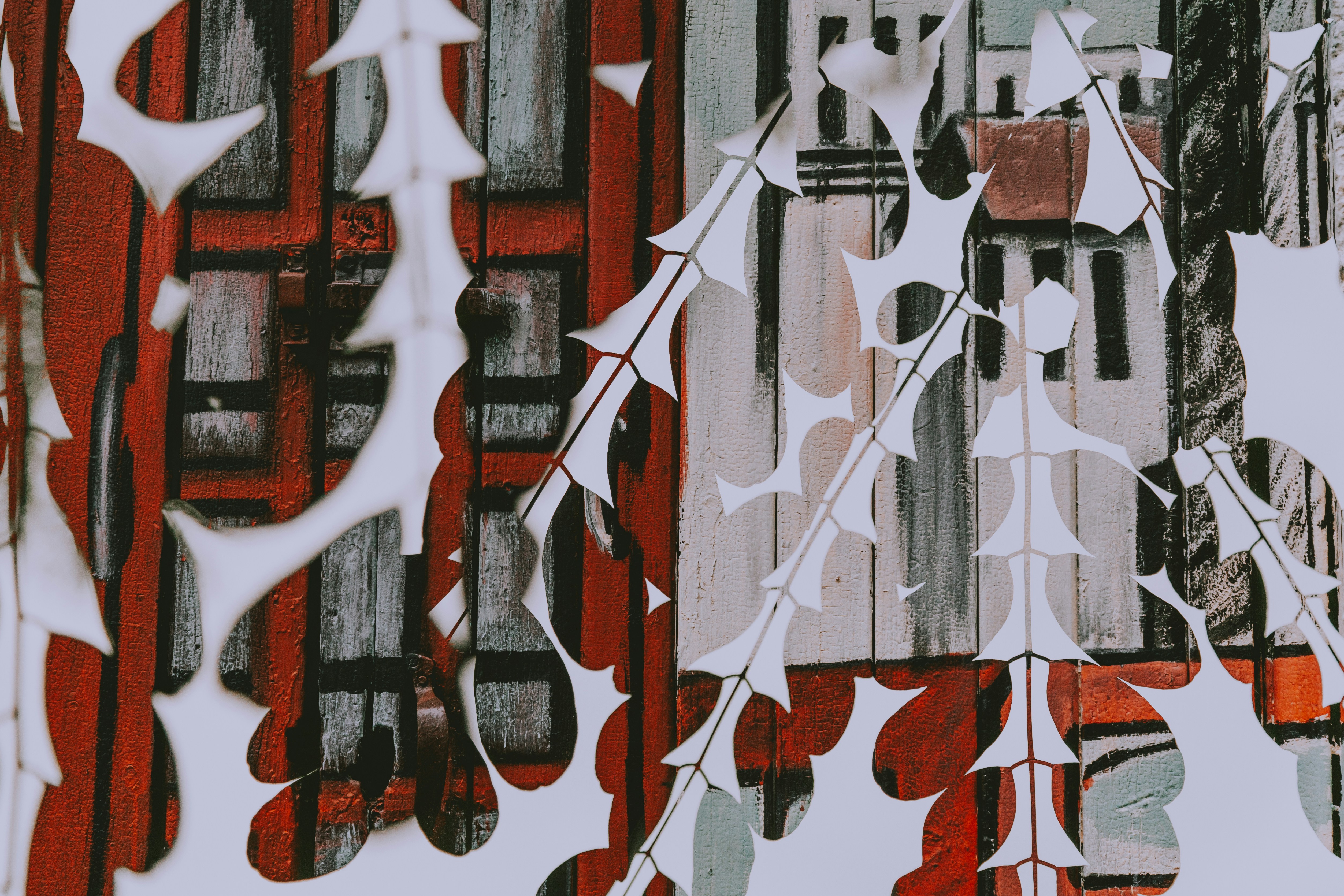 Photo by marjan_blan