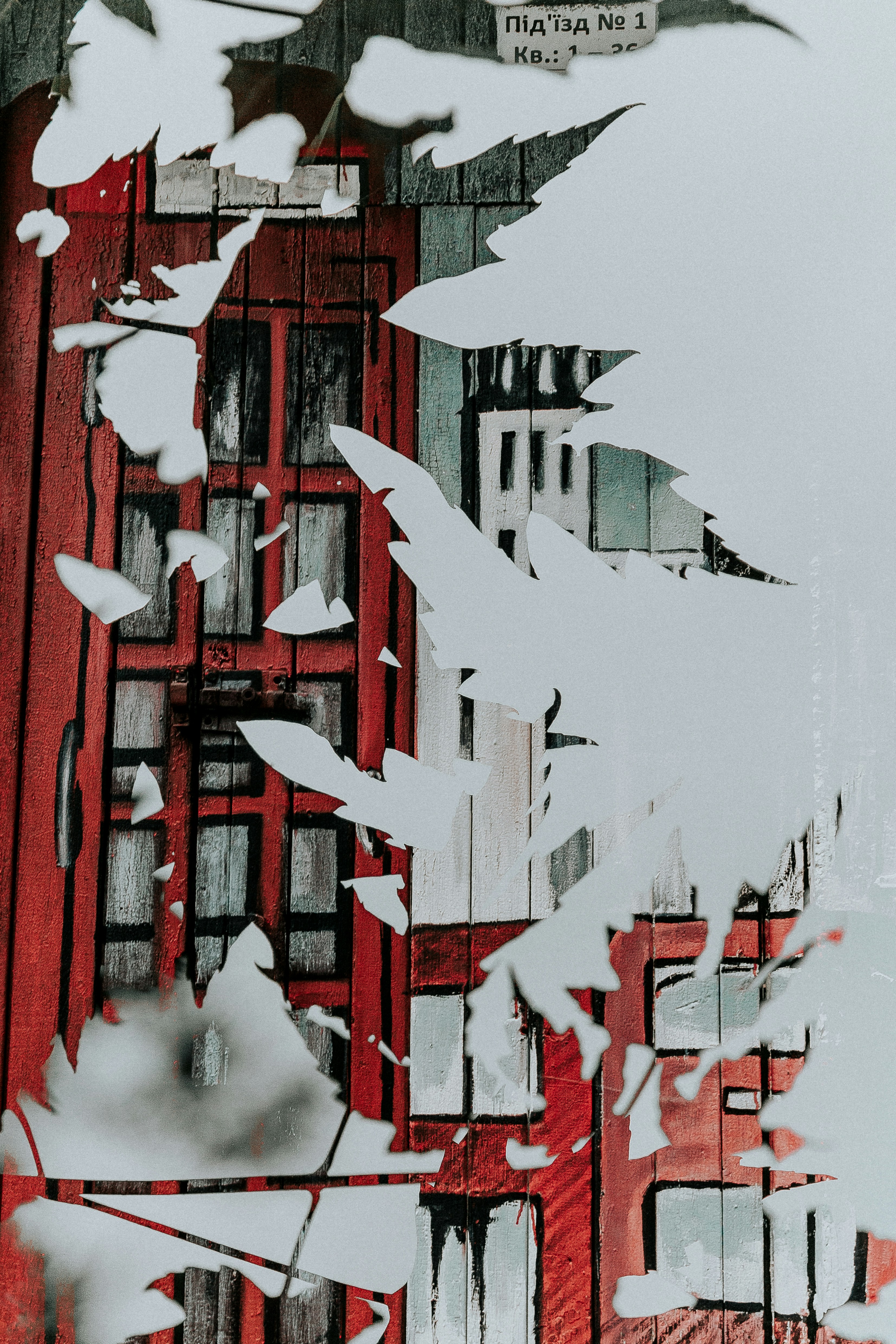 Photo by marjan_blan