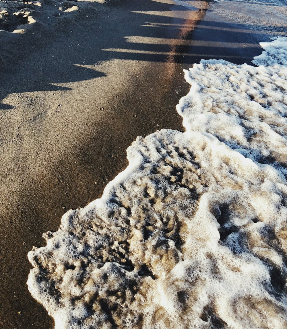 Seashore em foco Fotografia