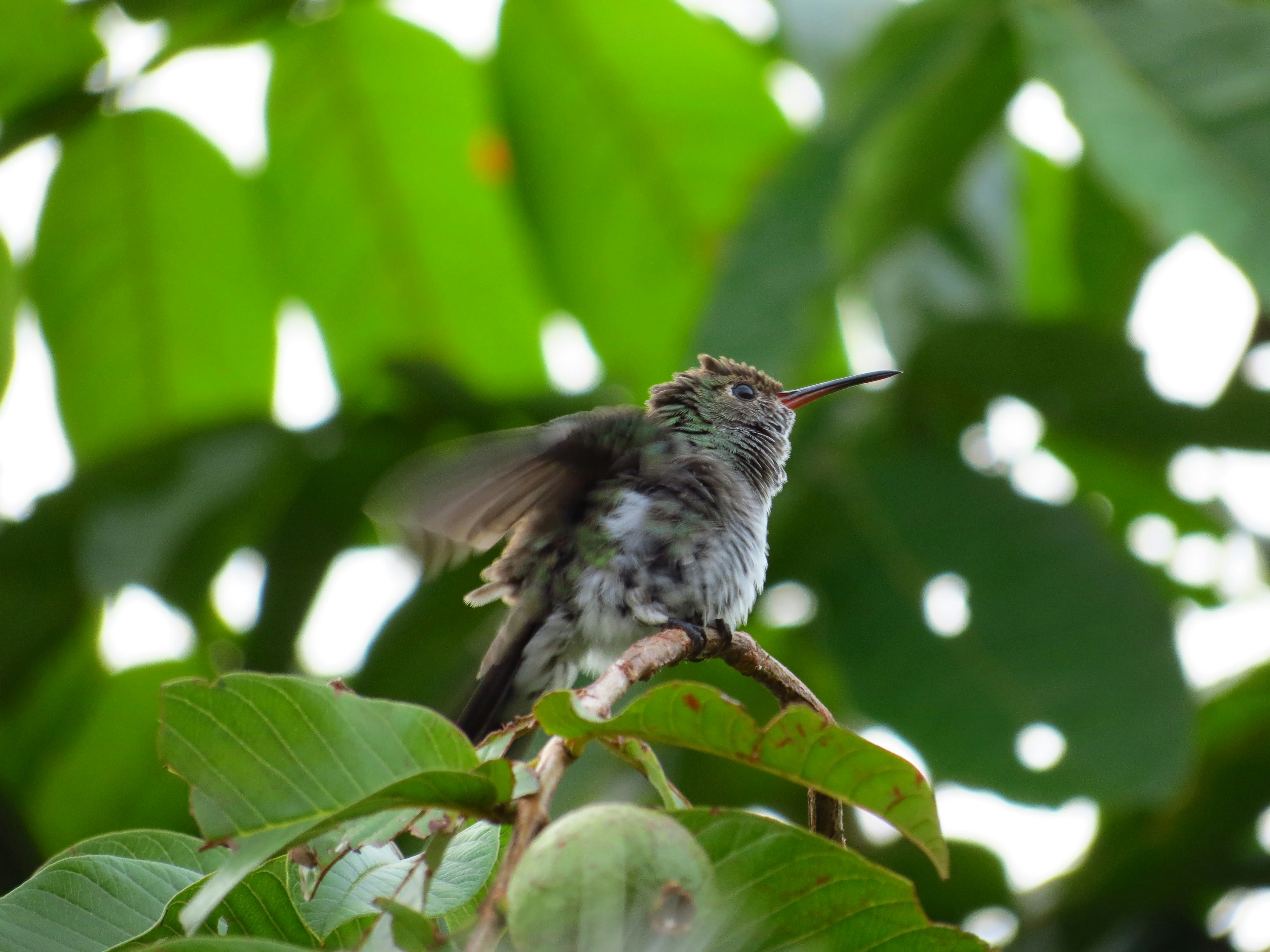 Photo by dienyportinanni