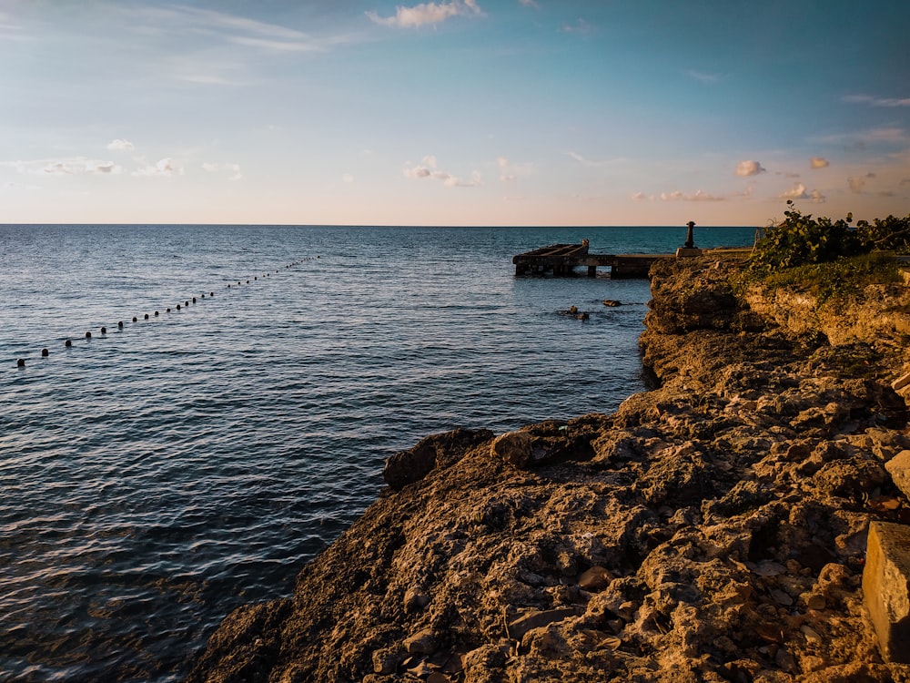 rocky shore during day