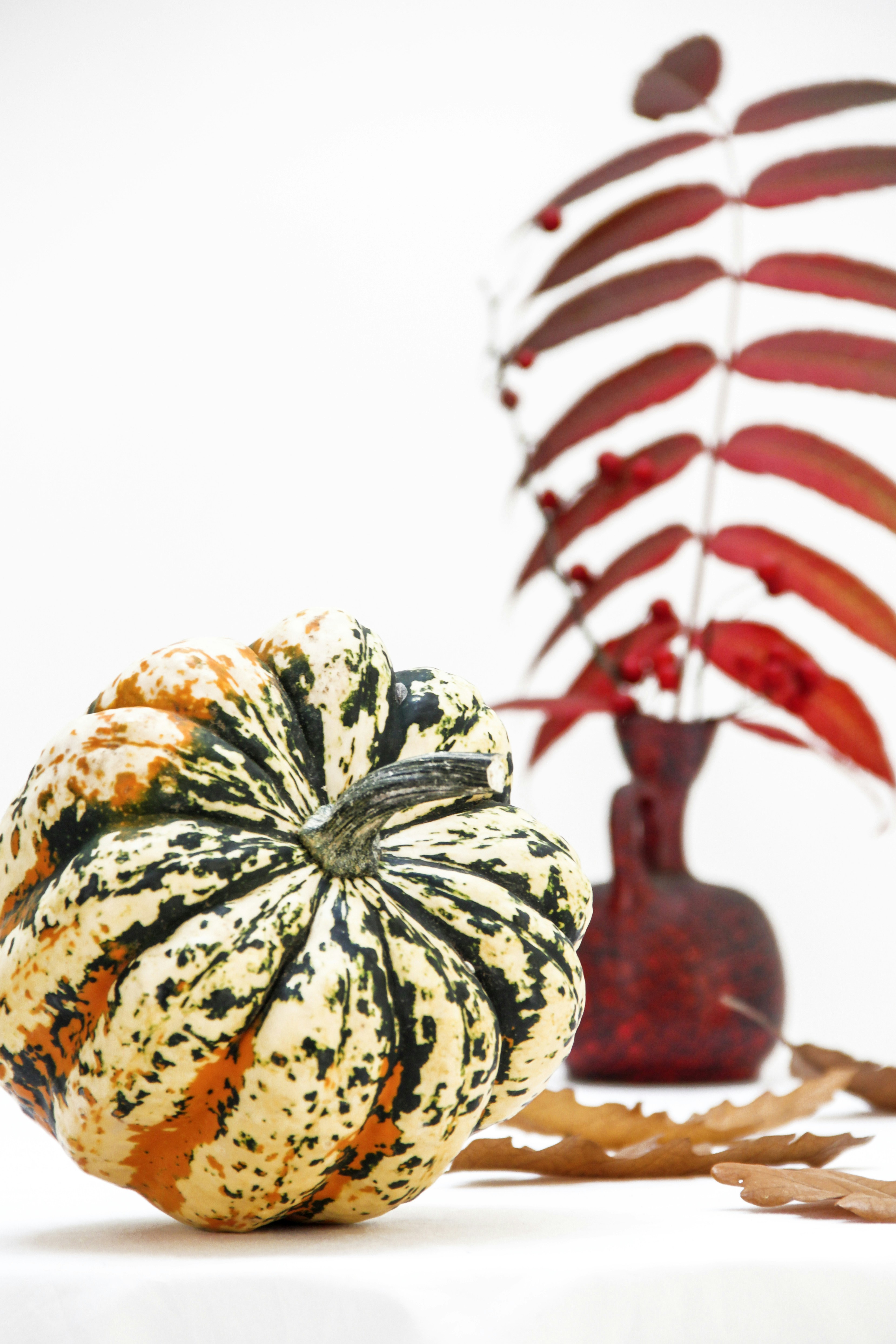 Définition de gourd Dictionnaire français La langue française