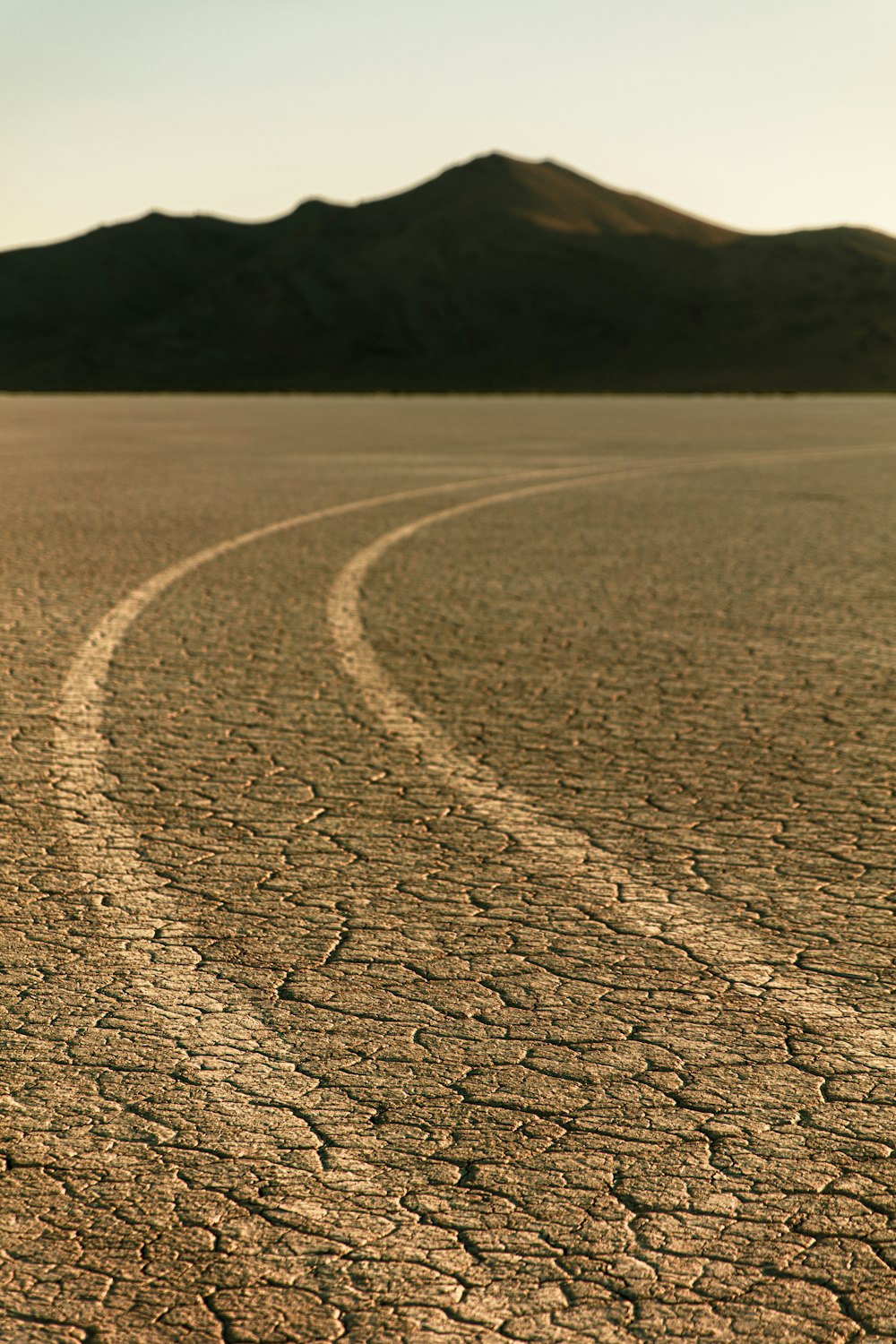 white tire marks on brown dried ground