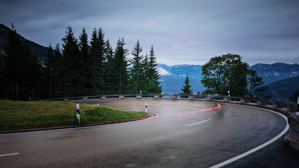 curve road between trees during daytime