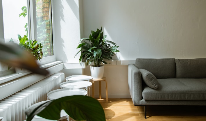 gray sofa