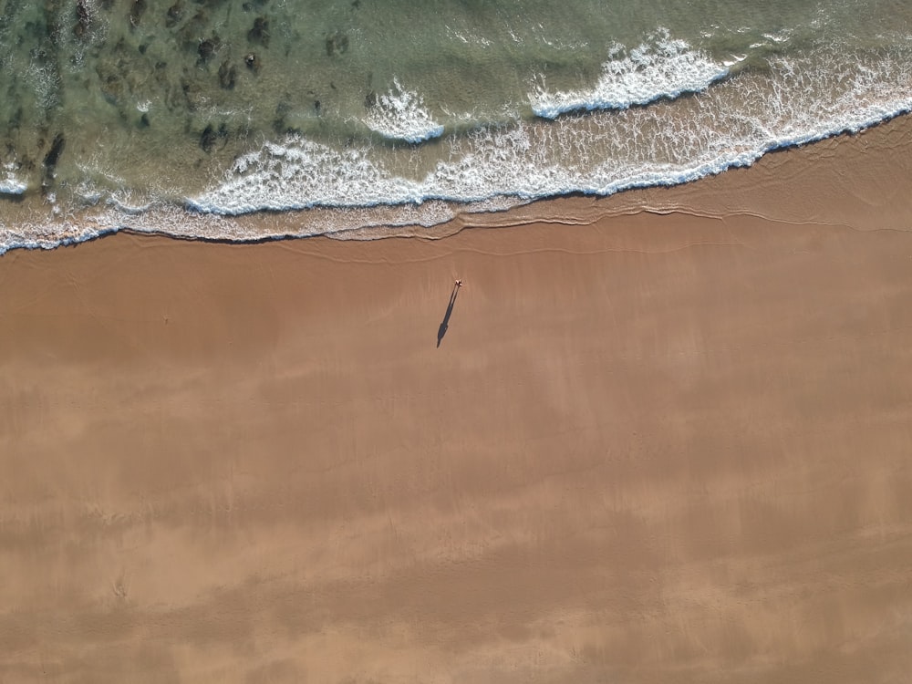 aerial photography of seashore