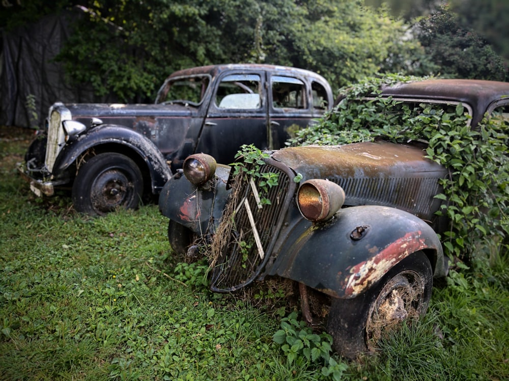 two black cars parked near trees