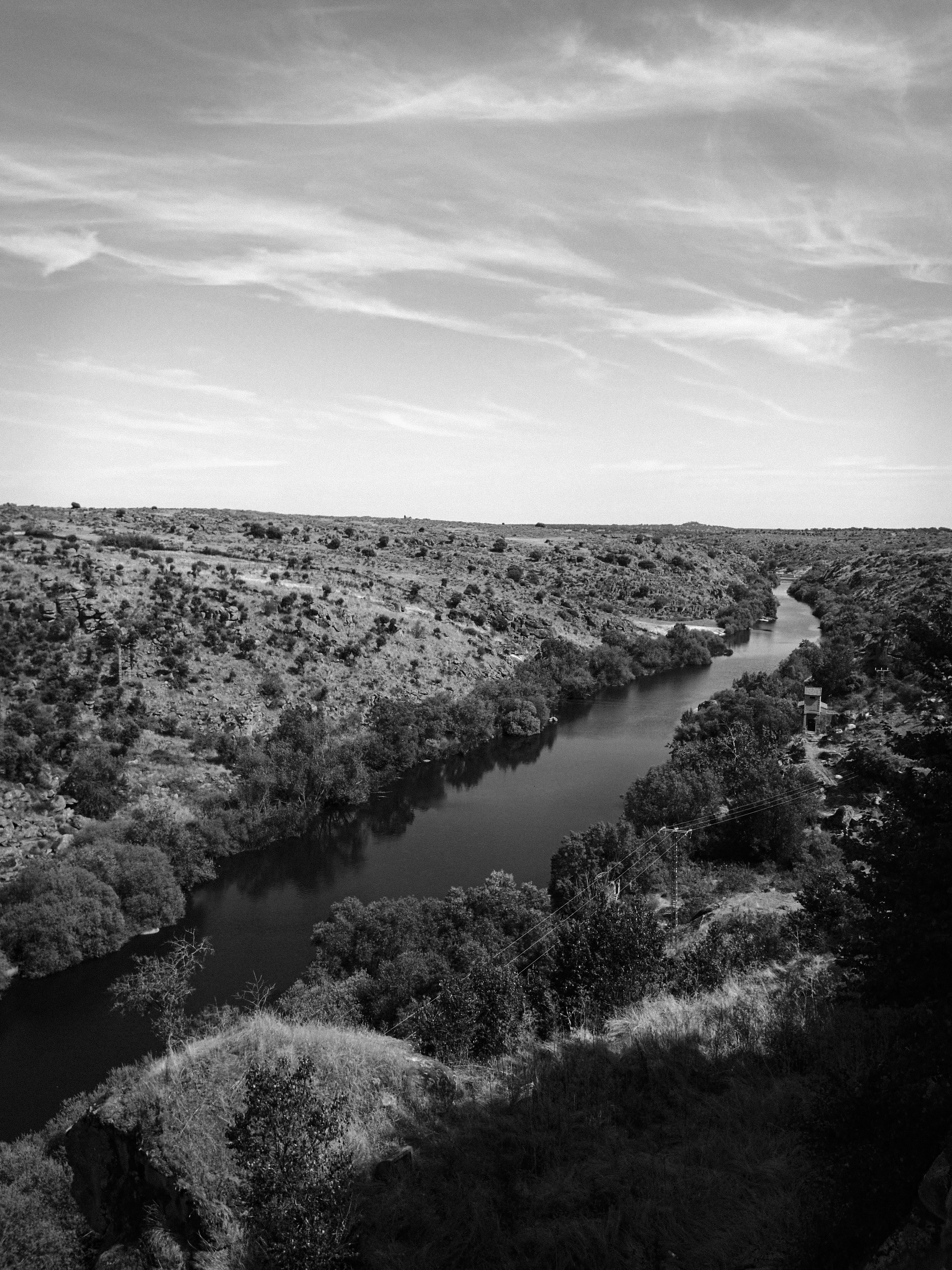 a river running through a lush green forest