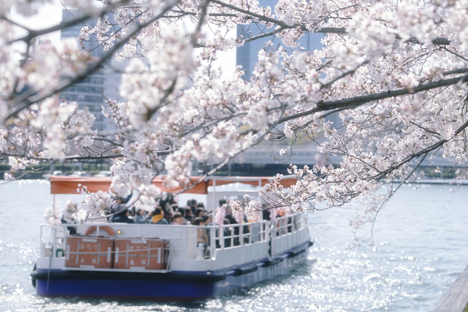 white boat on body of water during daytime