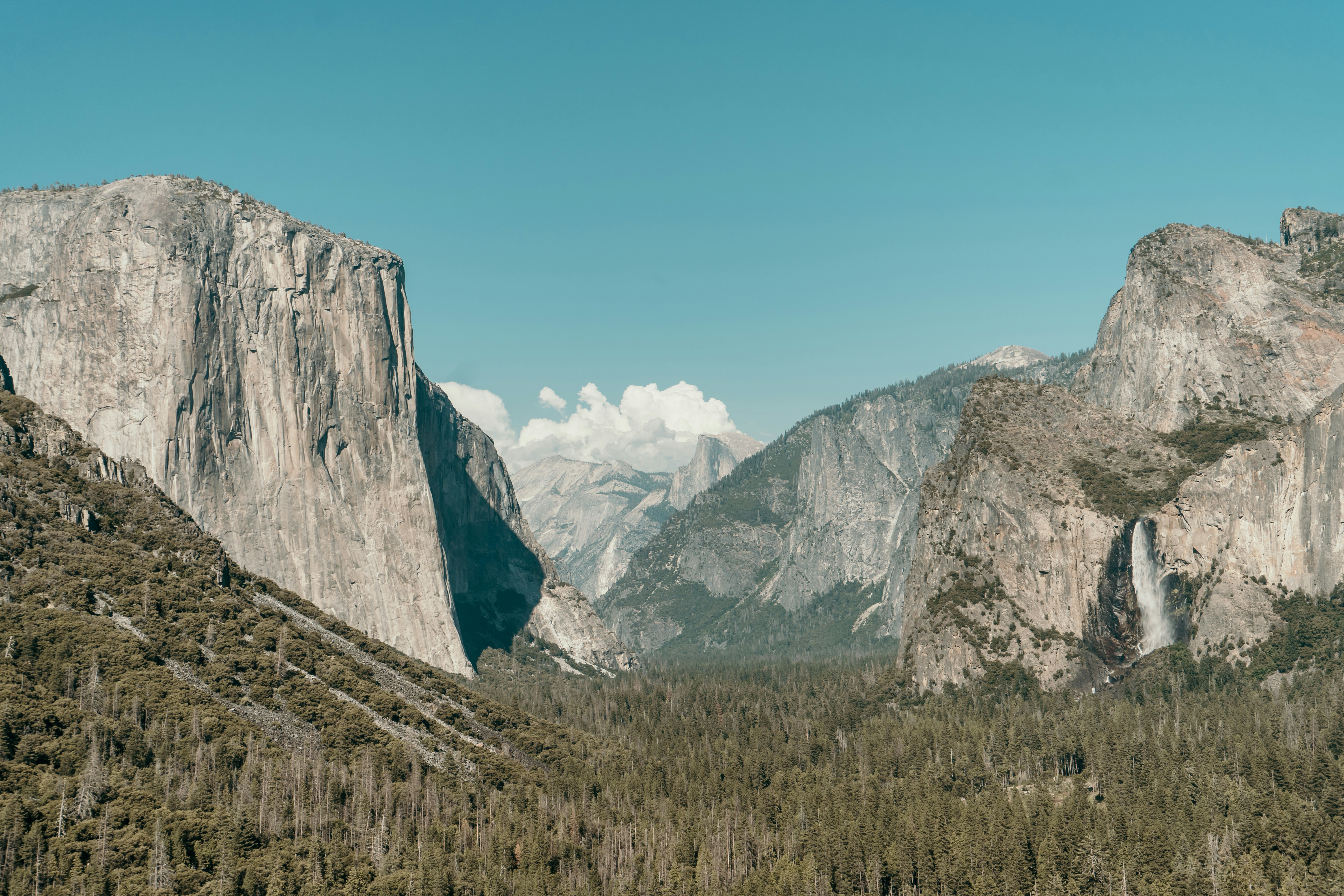 Photo by the_briggles