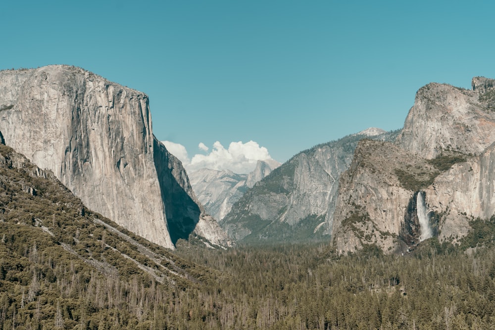 landscape photo of gray rock formations and green-leafed trees