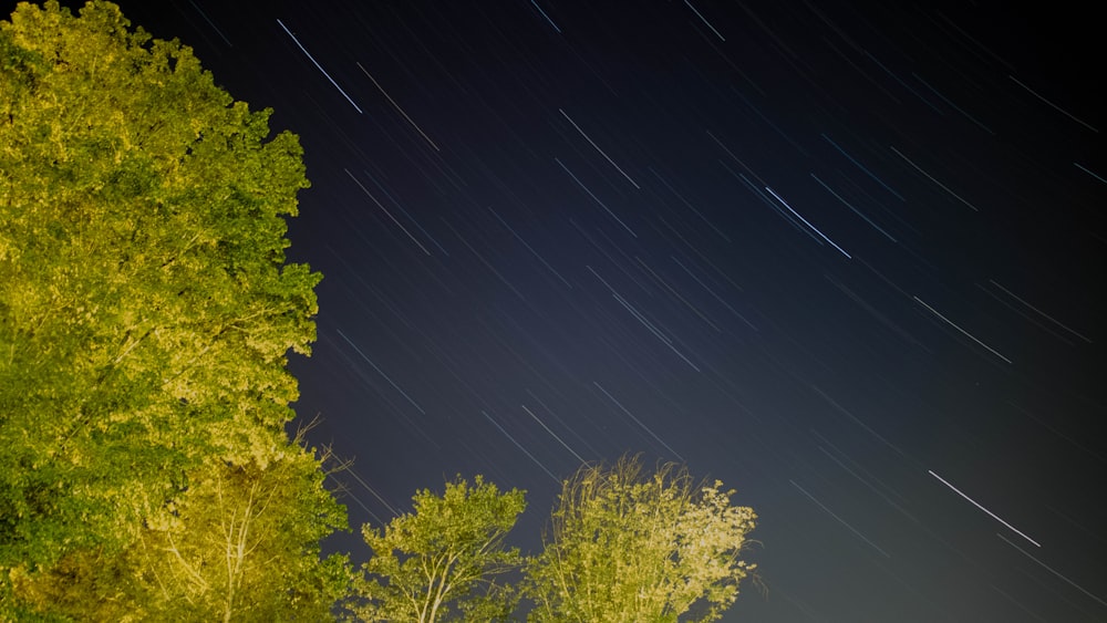 the night sky with stars and trees in the foreground