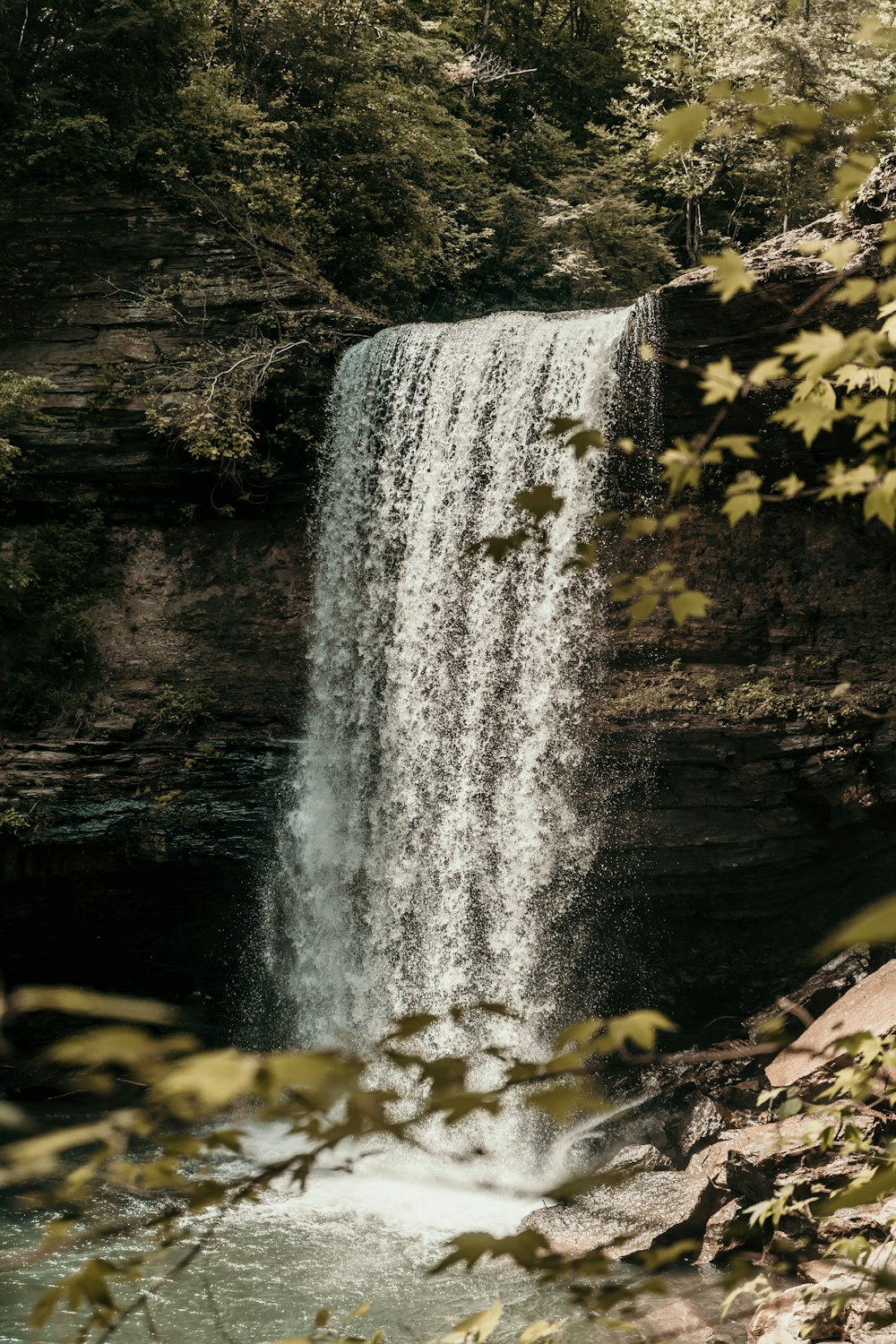 waterfalls surrounded with tall and green trees