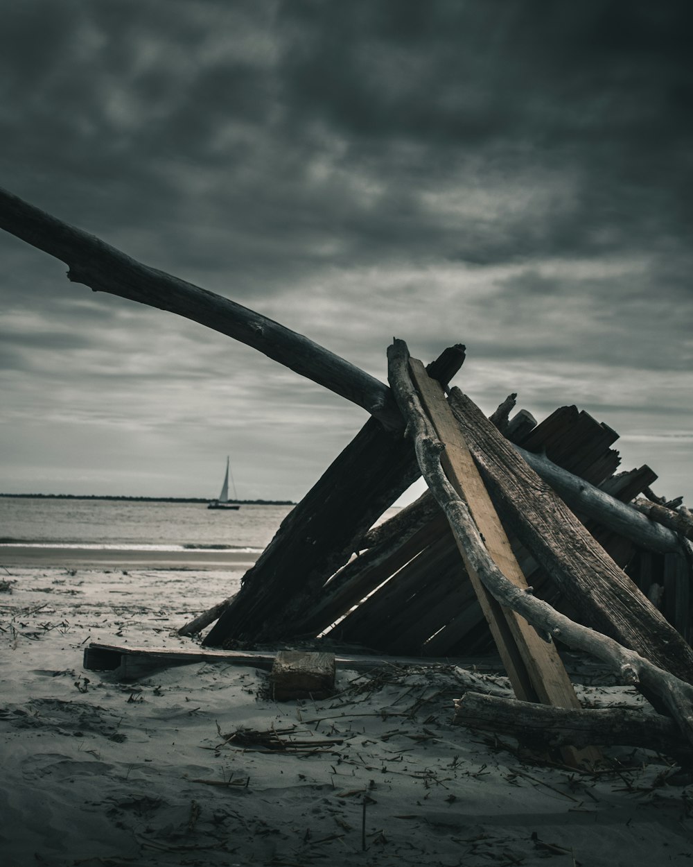 brown wood scraps by the sea during daytime