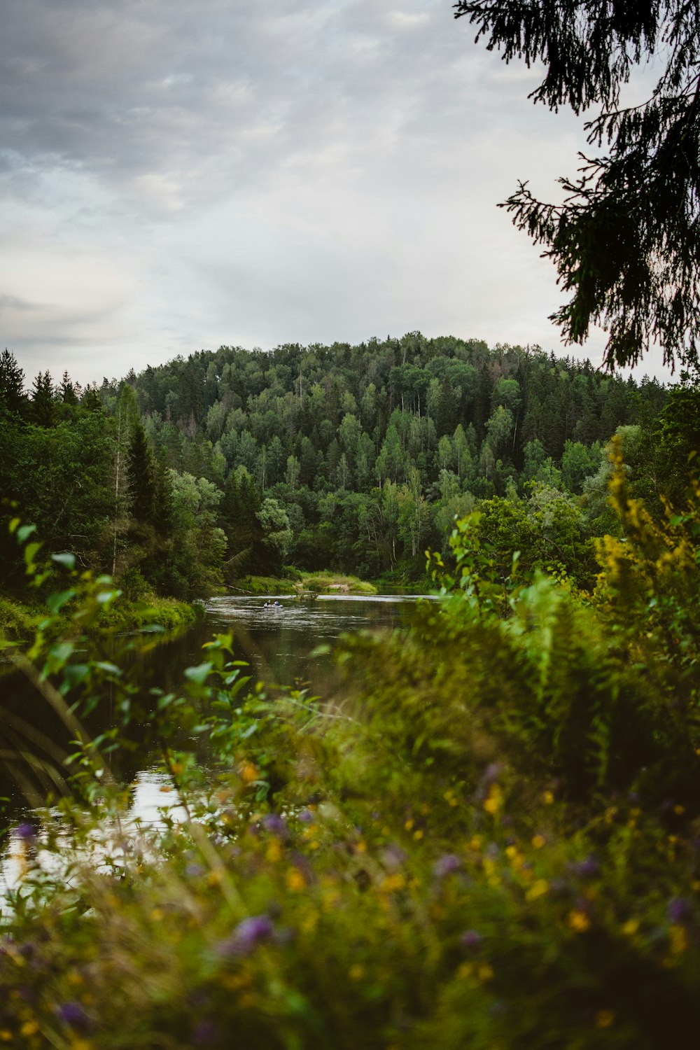 green trees