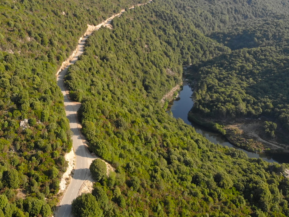 an aerial view of a winding road surrounded by trees