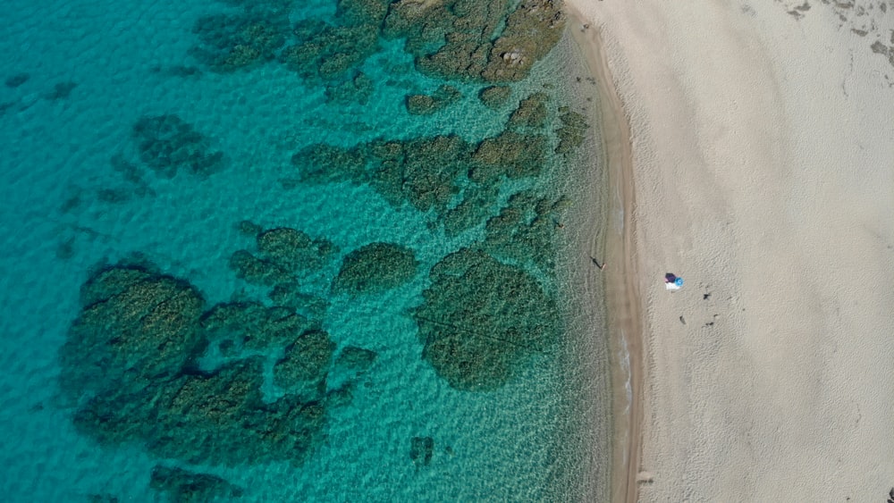 birds eye photography of shoreline