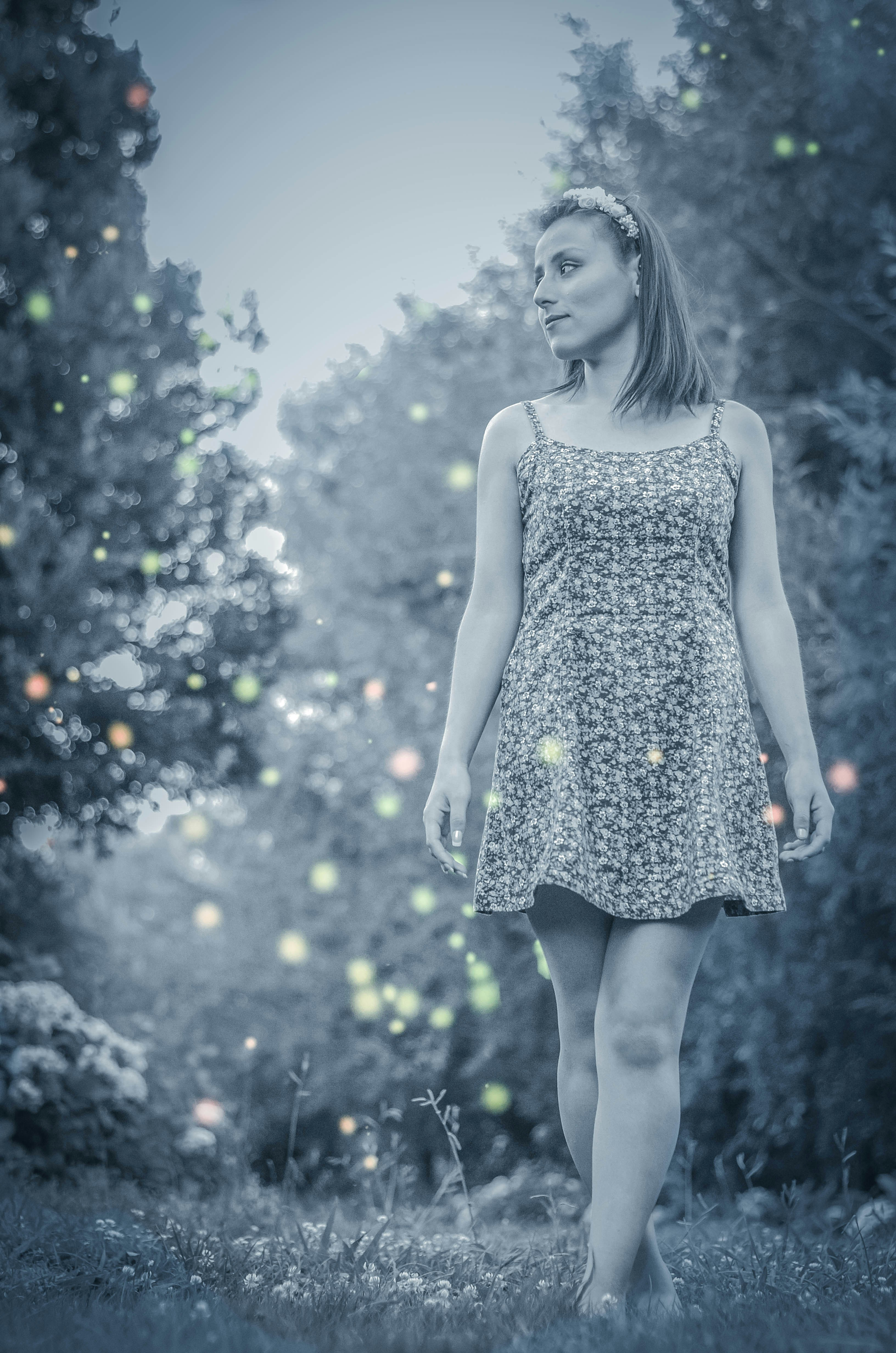 Photo by south_chilean